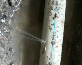 菏泽卫生间测漏水多少钱